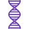 بیماری های ژنتیکی سه نوکلئوتیدی (تکرارهای نوکلئوتیدی)