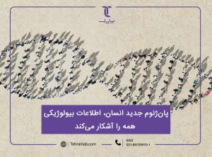پان ژنوم جدید انسان اطلاعات بیولوژیکی همه را آشکار می‌کند