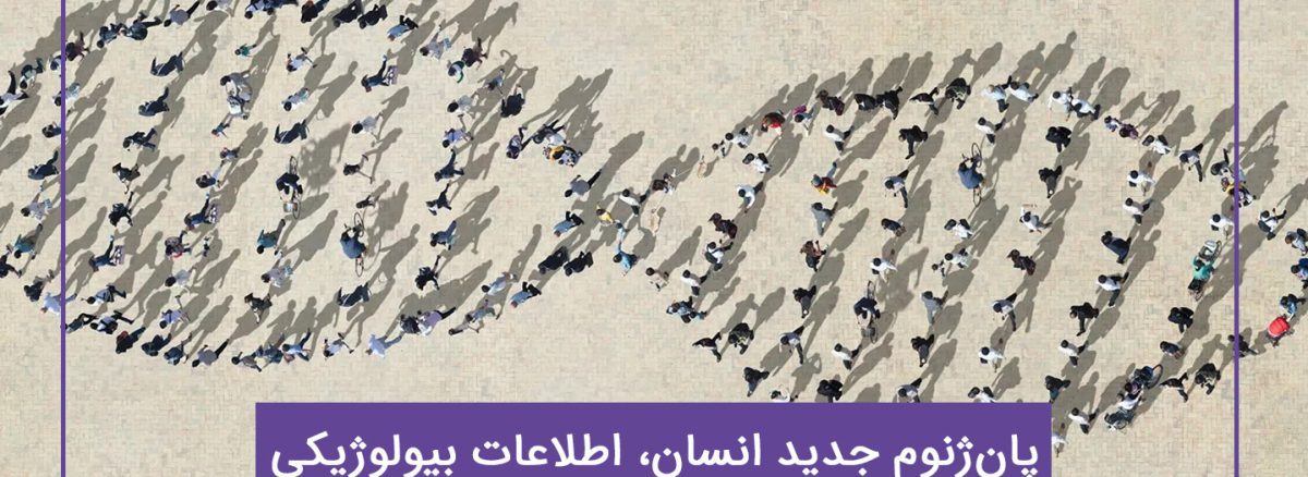پان ژنوم جدید انسان اطلاعات بیولوژیکی همه را آشکار می‌کند