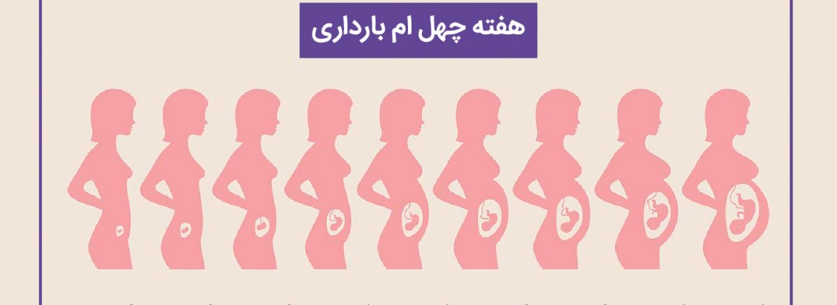 همه چیز درباره هفته چهلم (40) بارداری | آزمایشگاه تهران لب
