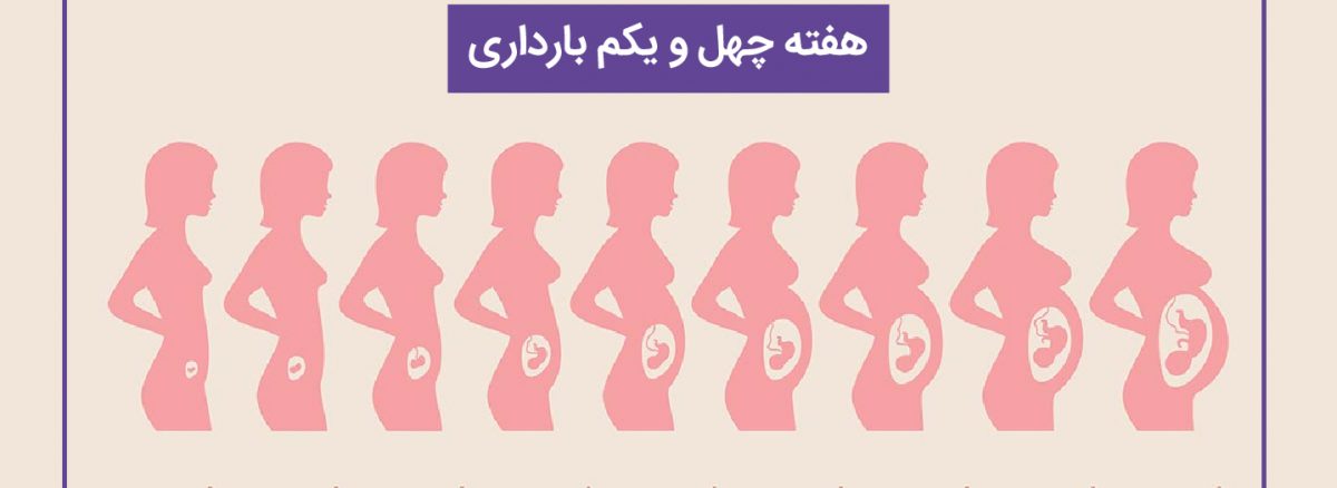 همه چیز درباره هفته چهل و یکم (41) بارداری | آزمایشگاه تهران لب