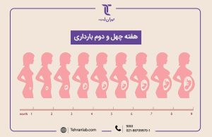 همه چیز درباره هفته چهل و دوم (42) بارداری | آزمایشگاه تهران لب
