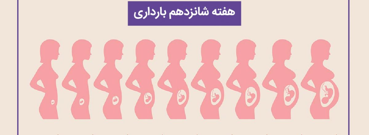 همه چیز درباره هفته شانزدهم (16) بارداری | آزمایشگاه تهران لب