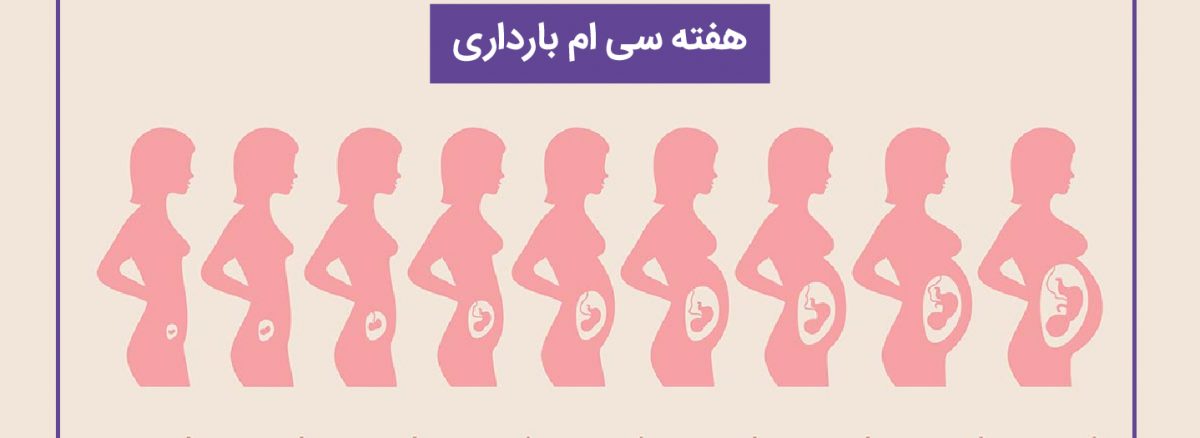 همه چیز درباره هفته سی ام (30) بارداری | آزمایشگاه تهران لب