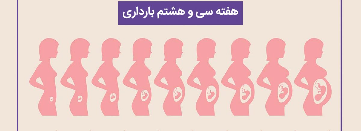 همه چیز درباره هفته سی و هشتم (38) بارداری | آزمایشگاه تهران لب