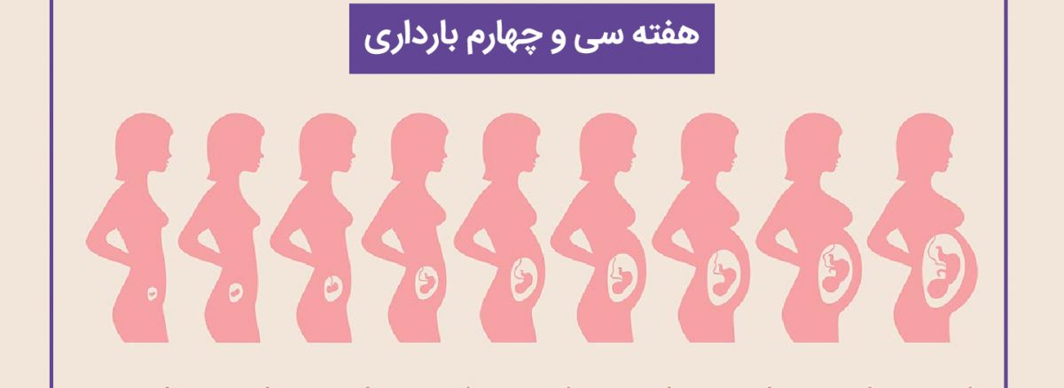 همه چیز درباره هفته سی و چهارم (34) بارداری | آزمایشگاه تهران لب