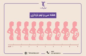 همه چیز درباره هفته سی و نهم (39) بارداری | آزمایشگاه تهران لب