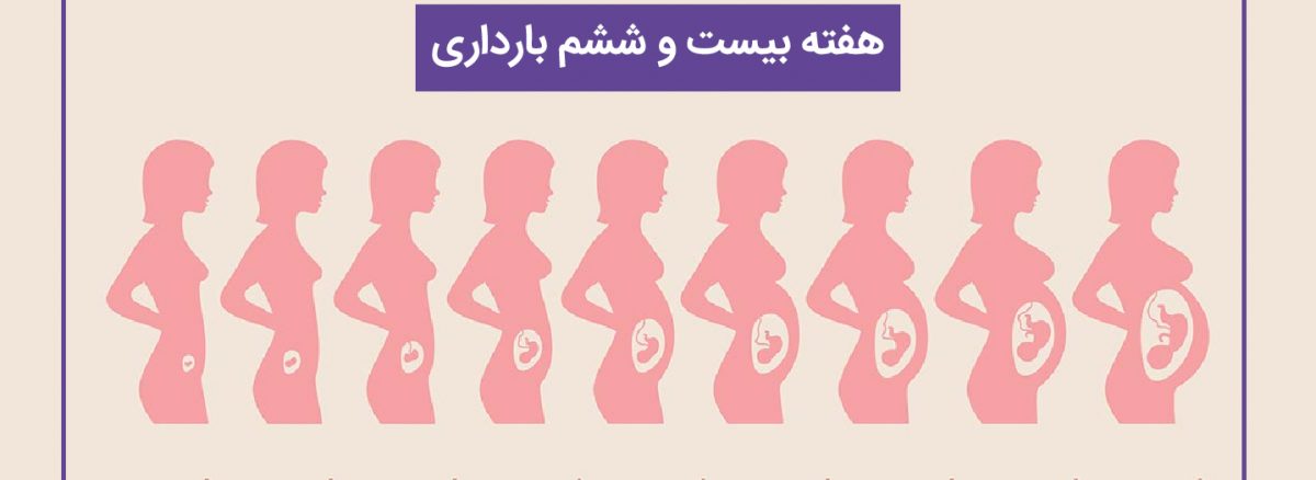 همه چیز درباره هفته بیست و ششم (26) بارداری | آزمایشگاه تهران لب