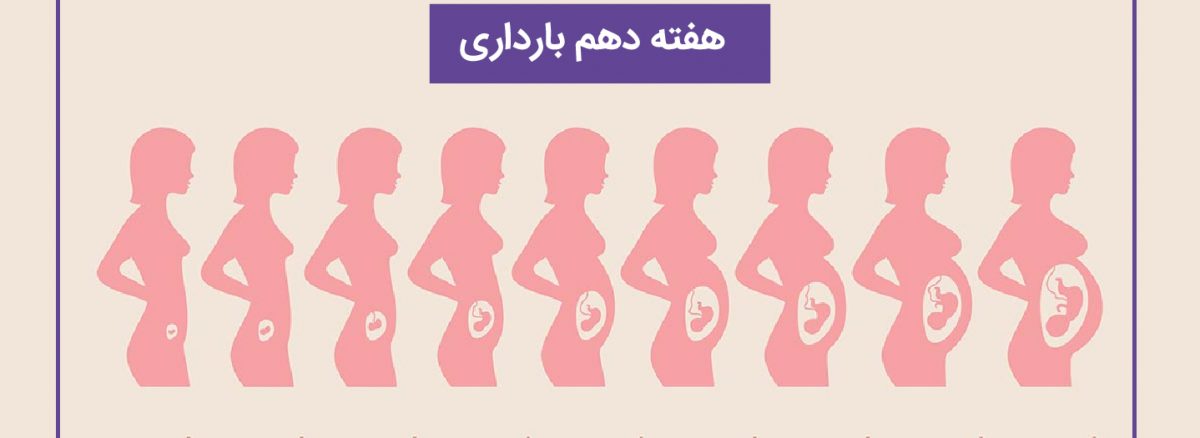 همه چیز درباره هفته دهم (10) بارداری | آزمایشگاه تهران لب