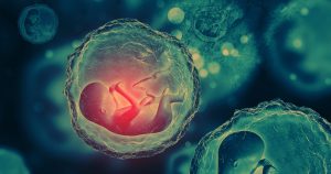 ازدواج فامیلی (خویشاوندی) | خطر تولد فرزند مبتلاء به بیماری‌ها و اختلالات ژنتیکی