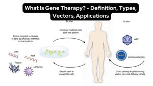 ژن درمانی چیست؟ انواع روش‌های ژن درمانی