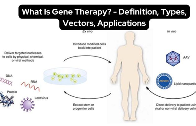 ژن درمانی چیست؟ انواع روش‌های ژن درمانی