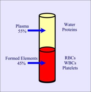 پارامترهای آزمایش CBC