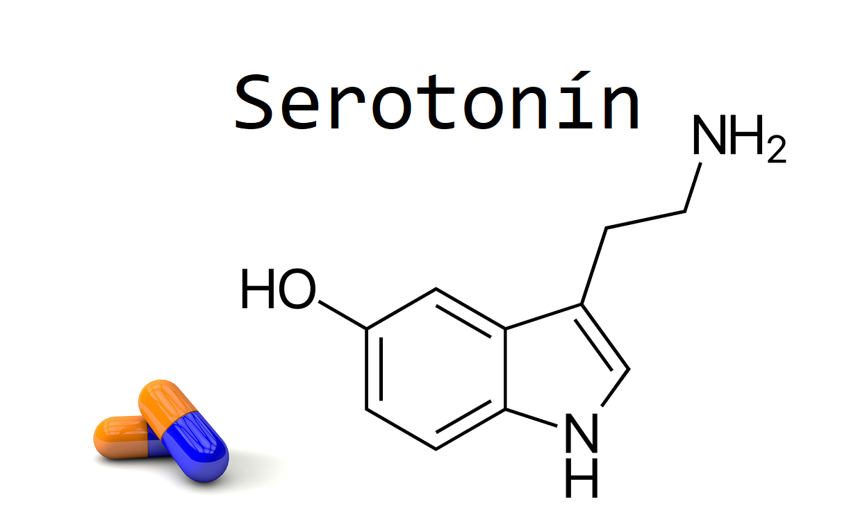 سروتونین چیست و چه نقشی در بدن دارد؟