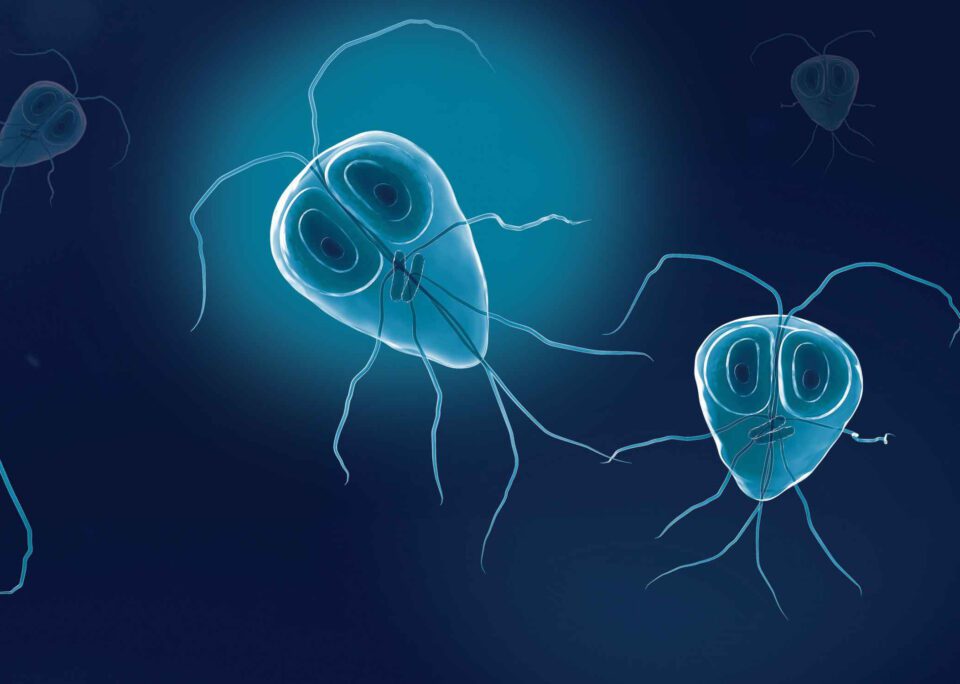 ژیاردیازیس (Giardiasis) چیست؟