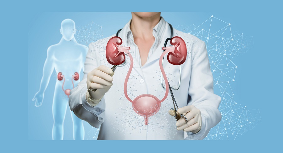 تفاوت نفرولوژیست و اورولوژیست