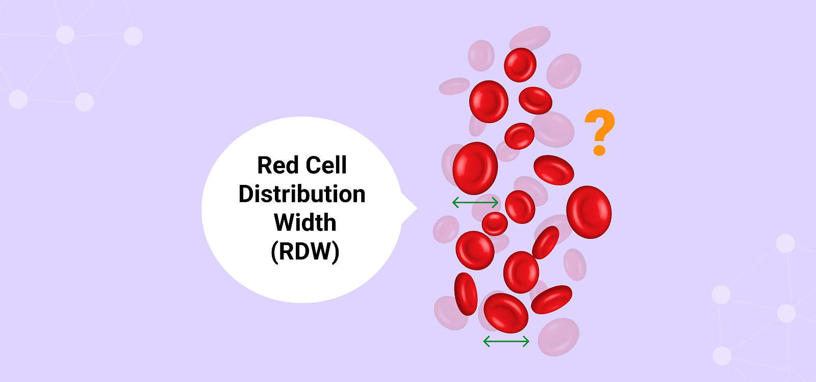 RDW در آزمایش خون چیست؟