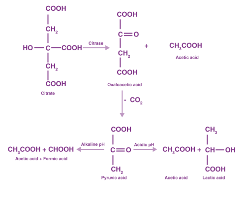 اساس تست سیترات Citrate