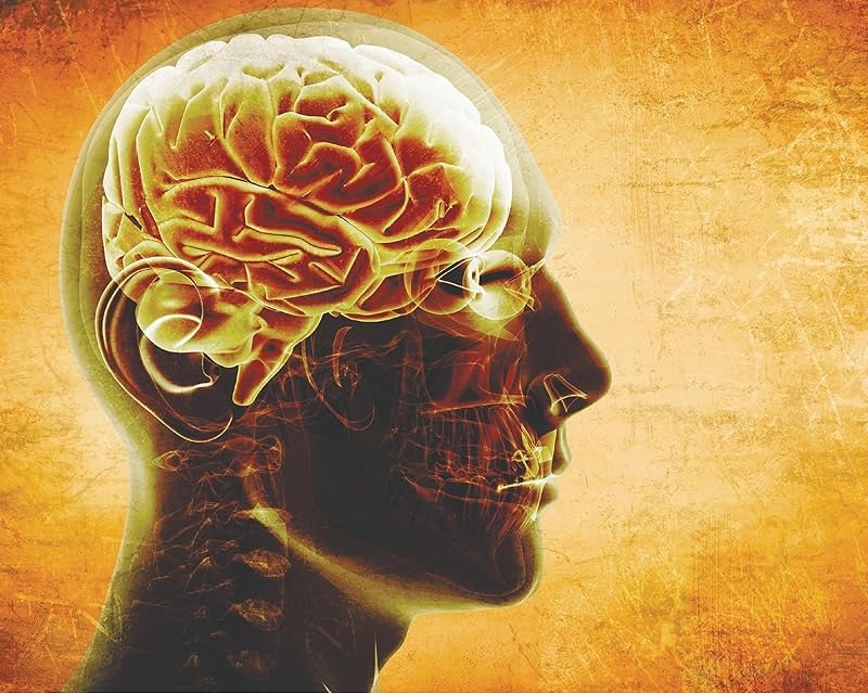 اسکیزوفرنی چیست؟