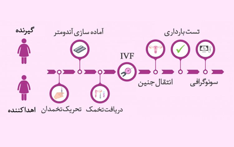 مرحل اهدای جنین