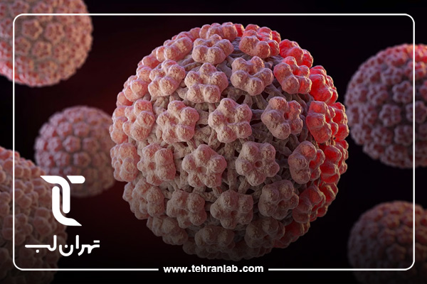 HPV-و-سرطان