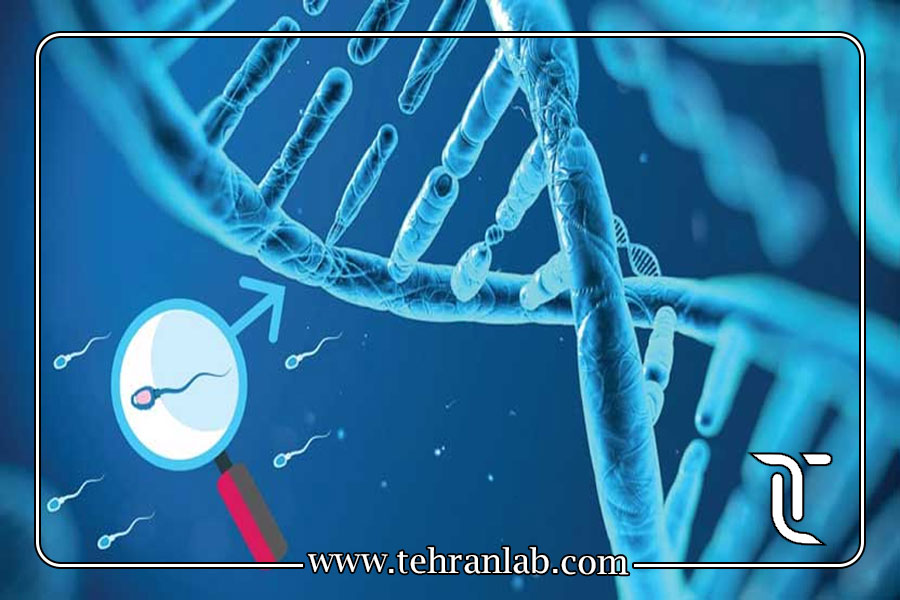 تست DNA تعیین هویت