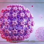 HPV پرخطر