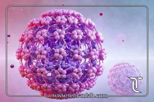 HPV پرخطر