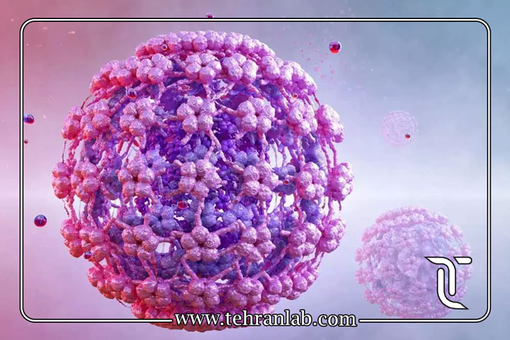 HPV پرخطر