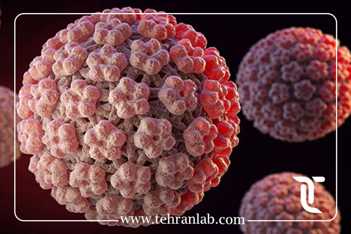 انتقال زگیل تناسلی