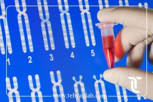 تعیین جنسیت DNA
