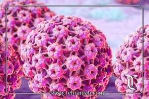 HPV در منزل