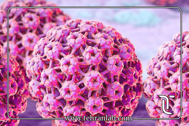 HPV در منزل