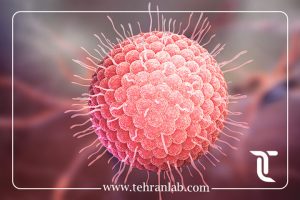 آزمایش زگیل تناسلی بدون علامت