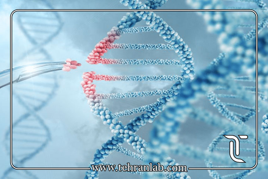 آزمایش ژنتیک قبل از بارداری