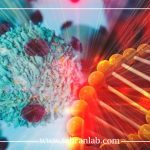 آزمایش ژنتیک ارثی