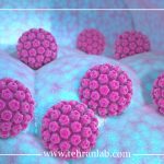 نکات قبل از آزمایش HPV