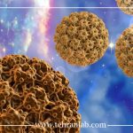HPV پرخطر و سرطان دهانه رحم