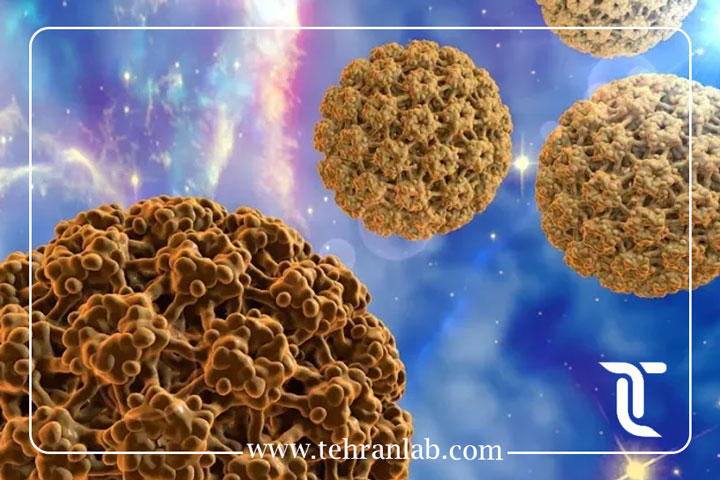 HPV پرخطر و سرطان دهانه رحم